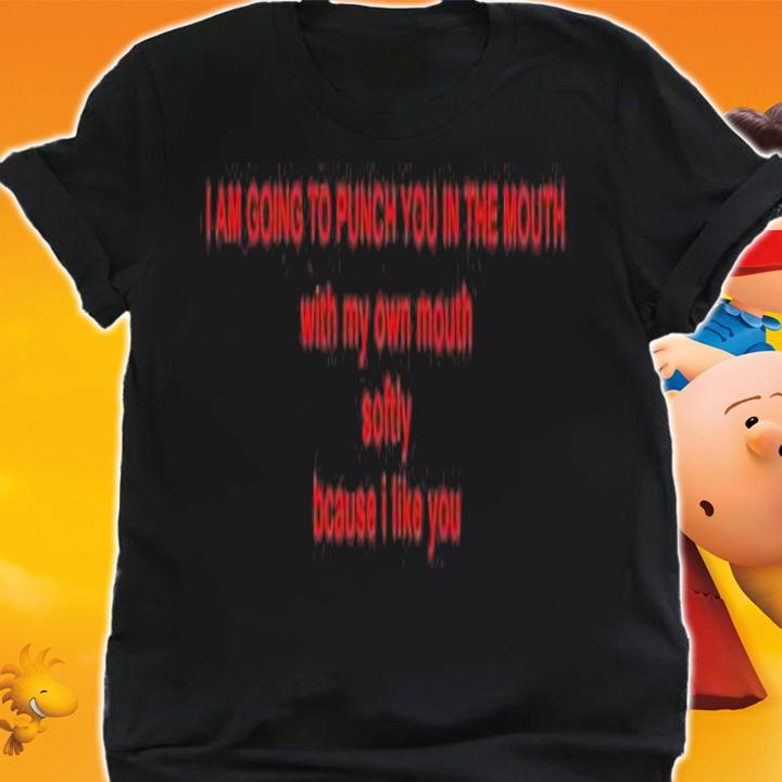 I am going to punch you in the mouth with my own mouth softly because I like you shirt t-shirt shirt