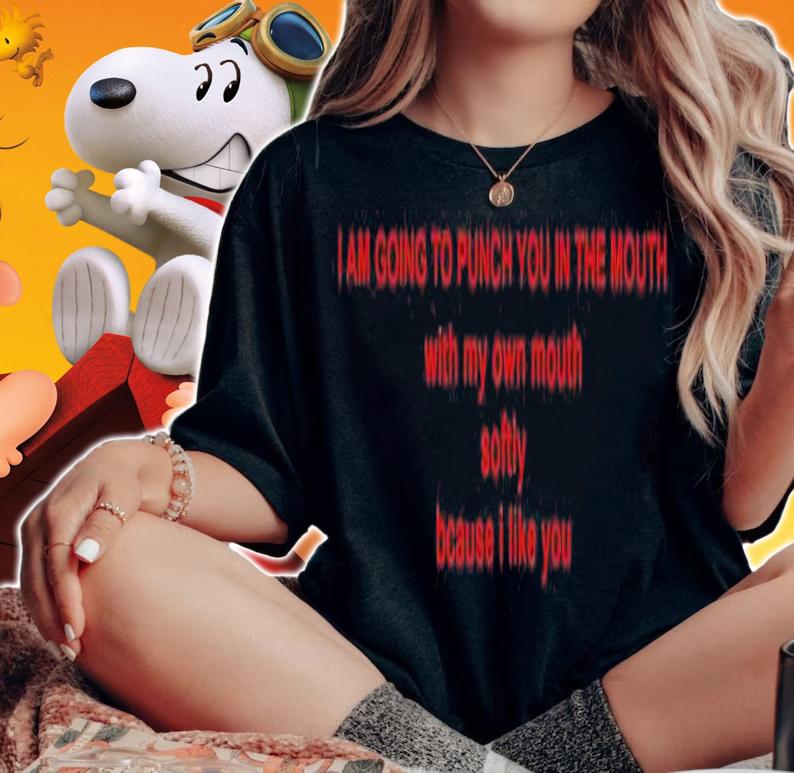 I am going to punch you in the mouth with my own mouth softly because I like you shirt t-shirt woman shirt