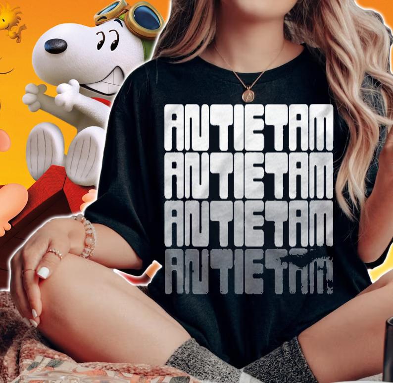 Civil War The Battle Of Antietam Vintage Retro Shirt woman shirt